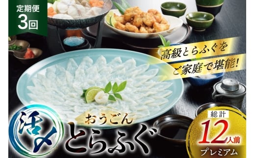 ふぐ 刺身 ふぐ鍋セット 活〆 おうごんとらふぐ プレミアム セット 4人前 3回 定期便 [松永水産 長崎県 平戸市 hr42bgy400150] ふぐ刺し とらふぐ フグ 河豚 てっさ てっちり ふぐ鍋 湯引き 魚介 さかな お刺身 刺身用 さしみ 冷凍 海鮮