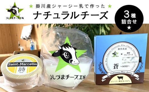 うしづまチーズ工場　ナチュラルチーズ3種セット【1601780】