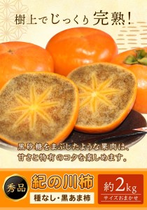 【先行予約】紀の川柿 約2kg (種なし・黒あま柿) 秀品 紀の川市厳選館 《10月上旬-12月上旬頃出荷予定》 和歌山県 紀の川市 柿 カキ かき ジューシー フルーツ