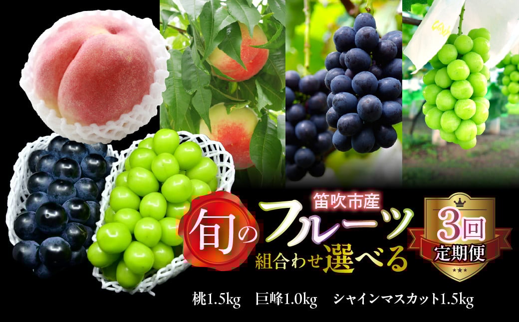
            【定期便】【2026年発送★先行予約】旬のフルーツ選べる3回定期便（桃・巨峰・シャインマスカット） 227-017-02-26y
          