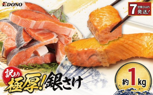 【スピード配送】 訳あり 極厚 銀さけ 約 1kg 厚切り 厚切 塩さけ 塩鮭 銀鮭 さけ 鮭 しゃけ サーモン 鮭カマ カマ 切身 切り身 規格外 わけあり 冷凍 バラ凍結 小分け 肉 厚 魚 焼き魚 新鮮 魚介 魚貝 海鮮 塩 酒 ギフト お取り寄せ おかず 弁当 朝食 夕食 塩焼き ムニエル ふるさと納税鮭 ふるさと納税 送料無料 千葉県 銚子市 株式会社エドノフーズ