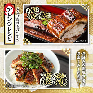 【0064323a】＜数量限定・宅配袋発送＞東串良町のうなぎ蒲焼(無頭)(1尾・約150g・タレ、山椒付) うなぎ 高級 ウナギ 鰻 国産 蒲焼 蒲焼き たれ 鹿児島 ふるさと お試し 【アクアおおす