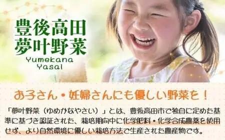 季節の夢叶 夏野菜 (ゆめかななつやさい) ボックス | 夏野菜 豊後高田市