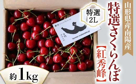 
                  【令和9年産先行予約】 さくらんぼ 「紅秀峰」 約1kg （特選 2L玉） バラ詰め 《令和9年6月中旬～発送》 『最上園』 サクランボ 果物 フルーツ 産地直送 山形県 南陽市 ［1335］
                