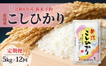 【先行予約】【定期便 12ヶ月】令和8年産 新米 新潟県産 コシヒカリ 5kg×12回 (計60kg) 米 お米 こしひかり 精米 白米 新潟市