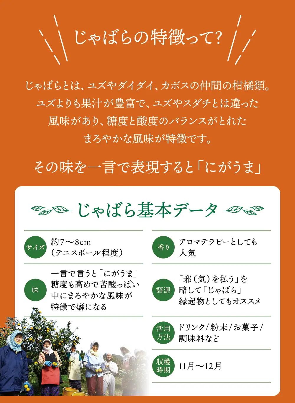  じゃばらウォーター510ml 1ケース（24本）【njb161A】