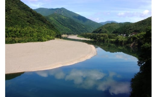 令和7年産 6回 定期便 四万十産 四万十米 コシヒカリ 10kg （5kg×2袋）×6回（計60kg）こしひかり 60kg 令和7年 2025年 精米 白米 米 おこめ こめ コメ ご飯 ごはん ふ