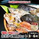 【ふるさと納税】＜選べる容量＞境港の魚屋さんのおまかせ鮮魚セット(3～6種) 下処理済み 海鮮 鮮魚 詰め合わせ 海の幸 【sm-DD013】【Workplays】