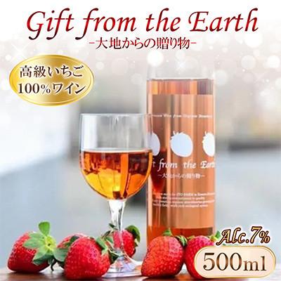 ふるさと納税 山鹿市 いちご100%のワイン 500ml(酸化防止剤無添加)
