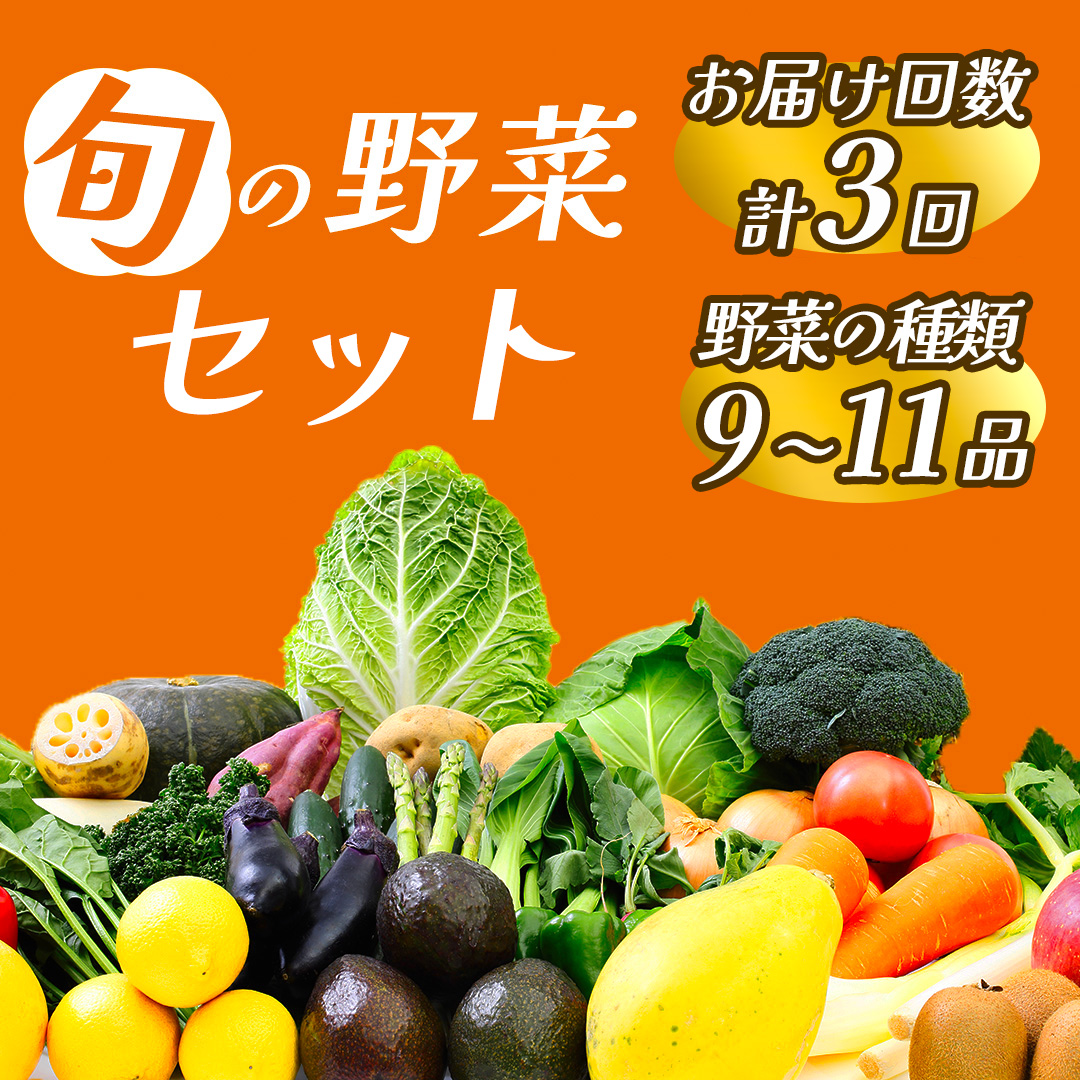 湯の花　旬の野菜セット３か月間の定期便　【野菜 定期便 セット 人気 詰め合わせ 3ヵ月 おまかせ 新鮮 やさい】