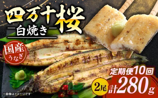 【贈答用】【10回定期便】極上国産うなぎ四万十桜 白焼き約140g×2尾 | うなぎ 鰻 ウナギ 白焼き 定期便 国産 四万十鰻 ウナギ 蒲焼き 調理済み タレ付き 頒布会 ギフト（お歳暮/お正月）高級 お取り寄せ グルメ 食べ比べ 冷凍
