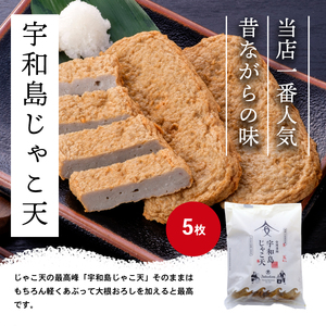 じゃこ天 蒲鉾 詰め合わせ Bセット 安岡蒲鉾店 じゃこ天 錦巻 あげ巻 かまぼこ じゃこつみれ 冷蔵 郷土料理 おつまみ 肴 魚肉加工品 特産品 国産 愛媛 宇和島 C018-020002