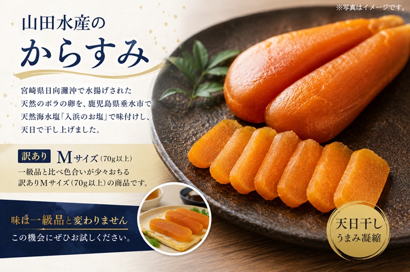 国産からすみ　訳あり品 片腹1本×5袋（350g以上）