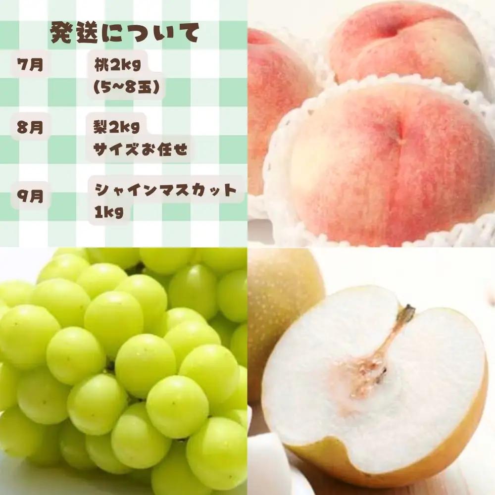 定期便【全3回/7・8・9月】 和歌山の夏の人気フルーツをお届け（桃・梨・シャイン）【tkb429】