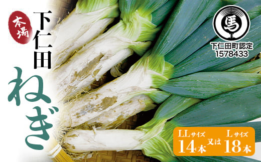 
下仁田の広大な畑が生む逸品 下仁田ねぎ（LL14本またはL18本） とろける 甘い ねぎ ネギ 王様ねぎ 殿様ねぎ 特産 栄養たっぷり ブランド 上州ねぎ すきやき F21K-068
