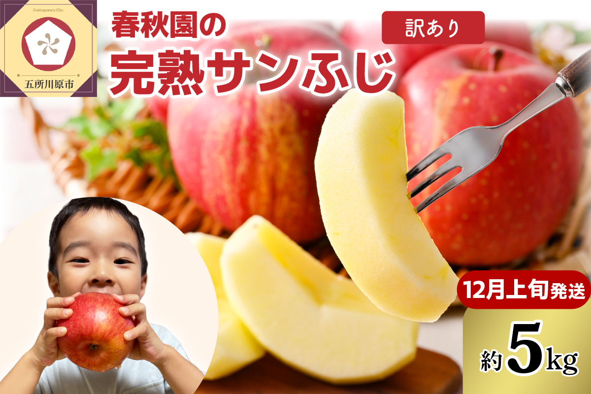 りんご　5kg 【2026年12月上旬発送 】訳あり 青森りんご 家庭用 完熟 サンふじ