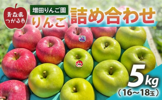 りんご 詰め合わせ 約5kg(16～18玉) 青森産 つがる市【2024年11月下旬より順次発送】｜青森県産 津軽 つがる リンゴ 果物 サンふじ 王林 [0609]