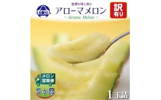 ＜毎月定期便＞＜訳あり＞アローマメロン 1玉　全5回【4072003】
