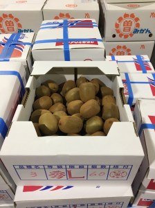 【先行予約】【さぬき讃フルーツ】さぬきキウイっこ　約2kg_M02-0142