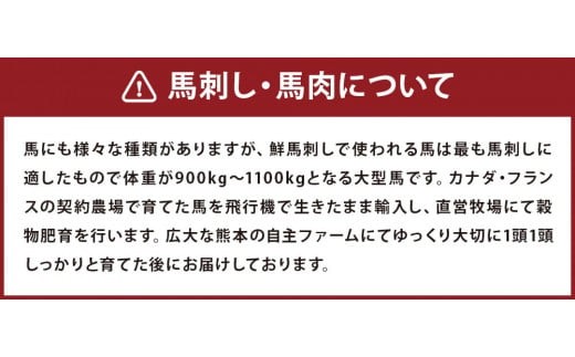馬刺し 桜うまトロ (ネギトロ) 合計約 720g 馬肉 熊本県 高森町