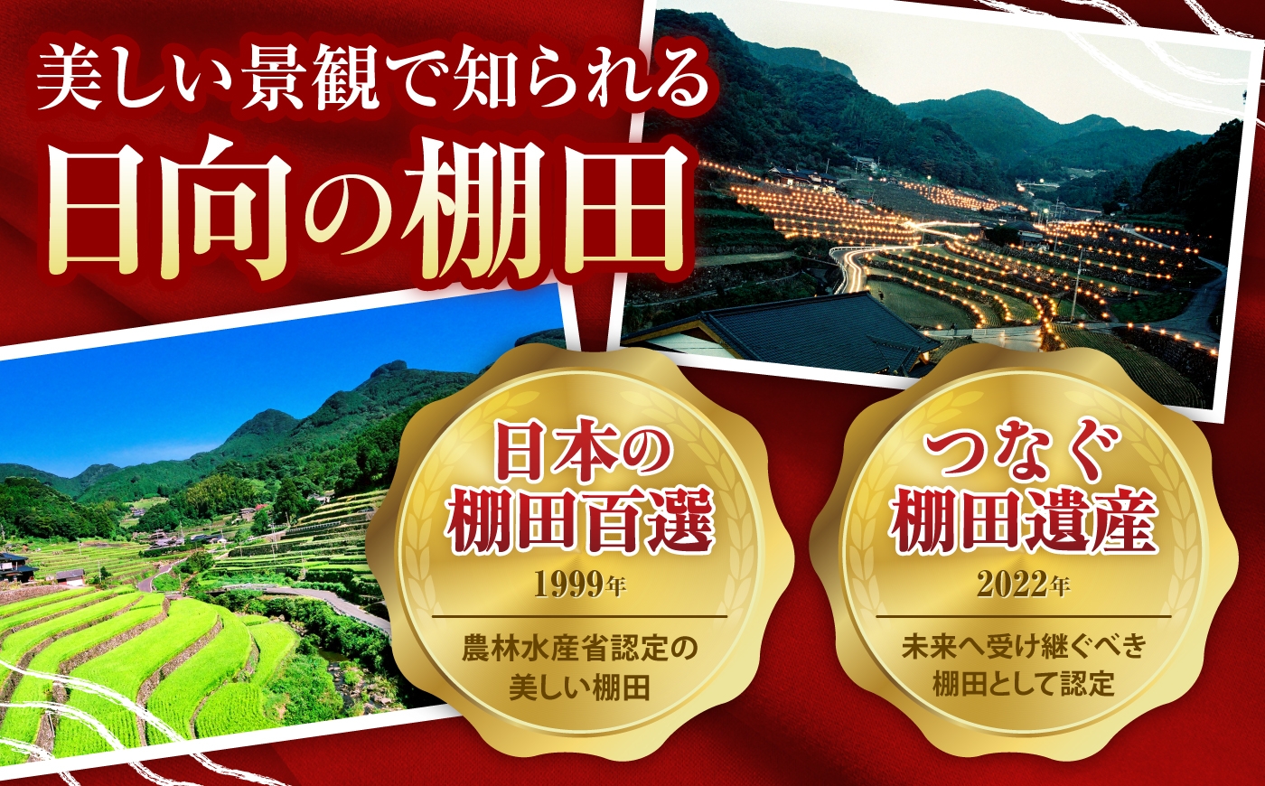 米 棚田米 令和8年産