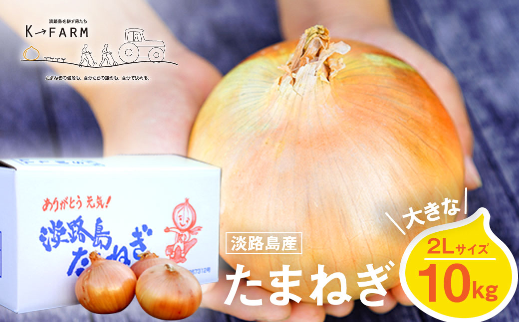 淡路島たまねぎ 大きな2Lサイズ10kg　　[玉ねぎ 産地直送 玉葱]