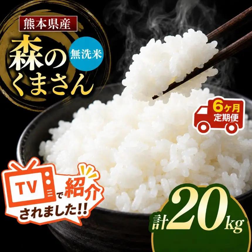 【定期便6回】令和7年産 熊本県産 森のくまさん 無洗米 20kg こめ 米