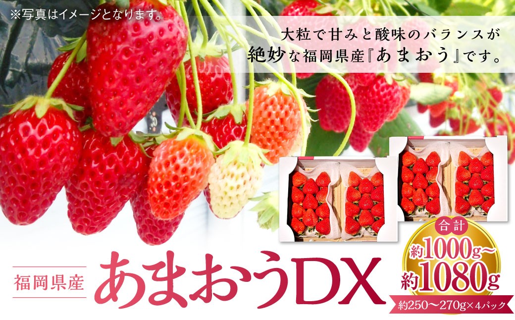 
                  あまおうDX  約250～270g×4パック デラックス いちご 苺 果物 くだもの フルーツ 【2027年2月上旬～4月下旬発送予定】
                