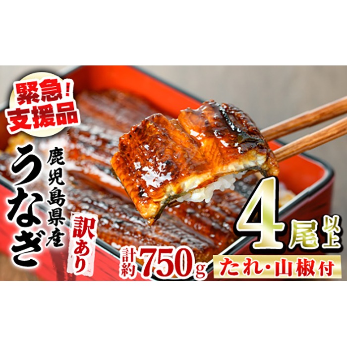 【0184369a】【緊急支援品】＜訳あり＞鰻の蒲焼き(無頭)(4尾以上・計約750g・タレ、山椒付) うなぎ ウナギ 鰻 国産 蒲焼 蒲焼き たれ 鹿児島 ふるさと 人気 支援 【アクアおおすみ】