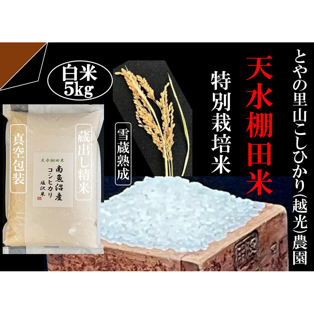 【ふるさと納税】「とやの里山継承プロジェクト対象」【天水棚田米】南魚沼塩沢産コシヒカリ　精米5kg全1回
