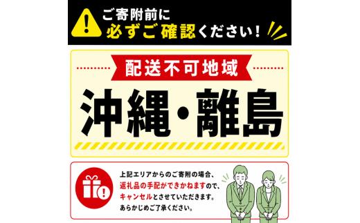 ミント キューバミント 先行予約 苗 苗木 園芸 ガーデニング ミントの苗 日用品 雑貨 趣味 4号ポット 1鉢 モヒート ハーブティー デザート アクセント モヒート 香り 育てる 栽培 趣味 植物