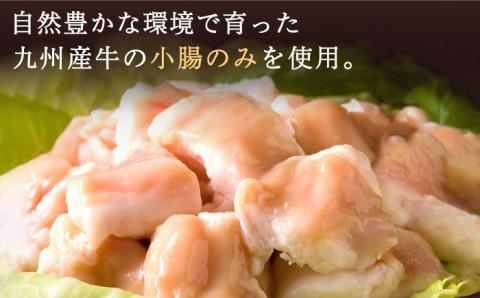 【お中元対象】【もつ鍋の本場博多で歴史のある 博多 浜や】国産・完全無添加 もつ鍋セット（約2人前） 白みそ味 [AFF001]