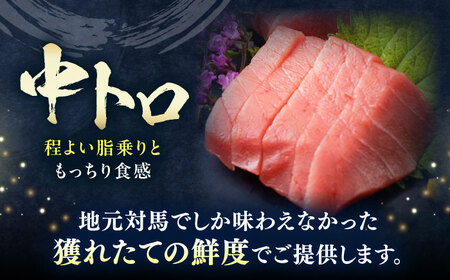 【全3回定期便】対馬産 本マグロ 中トロ100g ≪対馬市≫【桐谷商店】 トロの華 対馬 新鮮 マグロ 中トロ トロ 鮪 刺身[WAQ116]