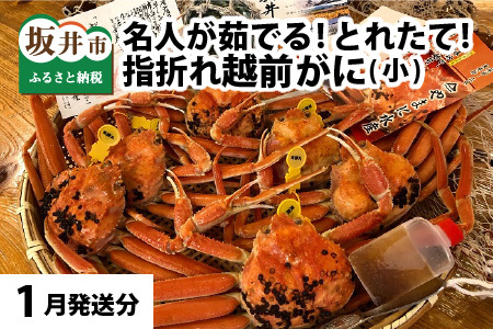 【先行予約】名人が茹でる 指折れ訳あり越前がに(小) 6杯 やまに仕込み【1月発送分】 [F-4352_01]