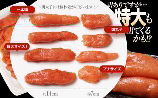 訳あり 無着色 辛子明太子1kg（特切） 1kg×1箱 お取り寄せ 小分け 白ワイン わけあり 切れ子 切子 めんたいこ お取り寄せグルメ 博多 福岡 お土産 ギフト 海鮮 業務用 たっぷり HACC