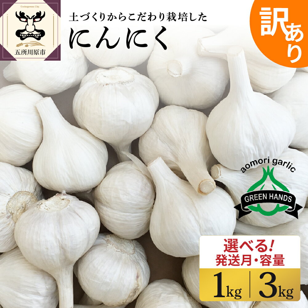 【ふるさと納税】【先行受付】＼★4.94 レビュー高評価 ／ にんにく 【 訳あり 】 青森県産 ( 内容量が選べる : 1kg 3kg /発送時期が選べる )/ ニンニク 野菜 薬味 ホワイト6片種 濃厚 食品 食材 自宅用 家庭用 ストック 長期保存 常温保存 青森県 五所川原市