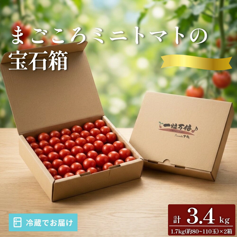 【ふるさと納税】まごころミニトマトの宝石箱 1.7kg(約80〜110玉)×2箱 計3.4kg サンチェリーピュア