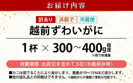 【訳あり】浜茹で 越前がに 約300～400g × 1杯（茹で前重量） 食べ方しおり付き【2月発送】【雄 ズワイガニ ずわいがに かに カニ 蟹 姿 ボイル 福井県】希望日指定可 備考欄に希望日をご記