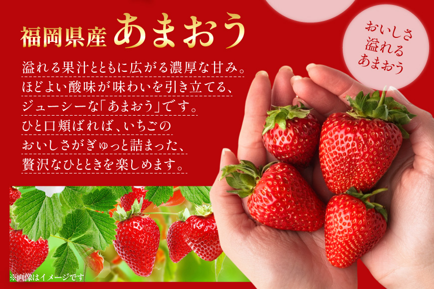 【期間限定発送】 いちご あまおう デラックス 2p [THE FARM_strawberry 福岡県 宇美町 um40azo780000] イチゴ 苺 フルーツ 果実 甘い 小分け