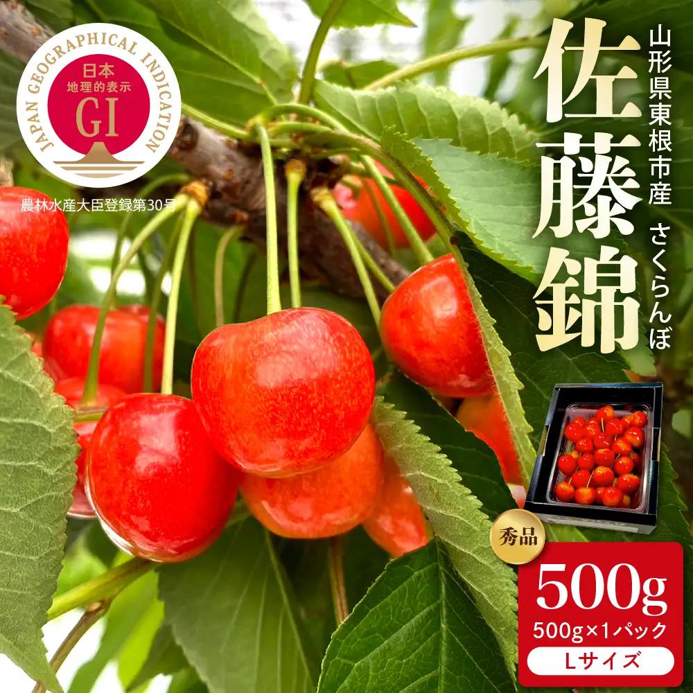 2027年産 GI東根 さくらんぼ 佐藤錦 秀品 500g さくらんぼ