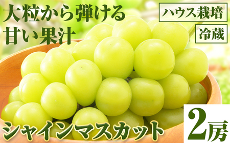 【先行予約】シャインマスカット 2房（ハウス栽培）《2026年8月上旬-8月中旬頃出荷》岡山県 笠岡市 石丸葡萄農園 果肉 旬 マスカット ぶどう 葡萄 フルーツ 果物 岡山