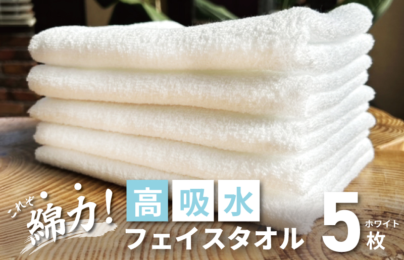 【スピード発送】高吸水 フェイスタオル 5枚 ホワイト【これぞ綿力 泉州タオル 国産 吸水 普段使い シンプル 日用品 家族 ファミリー 大阪 泉佐野 大阪府 泉佐野市】
