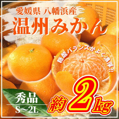 【ふるさと納税】【先行予約】山海の西宇和みかん約2kg(秀品)【B81-3】【1625063】