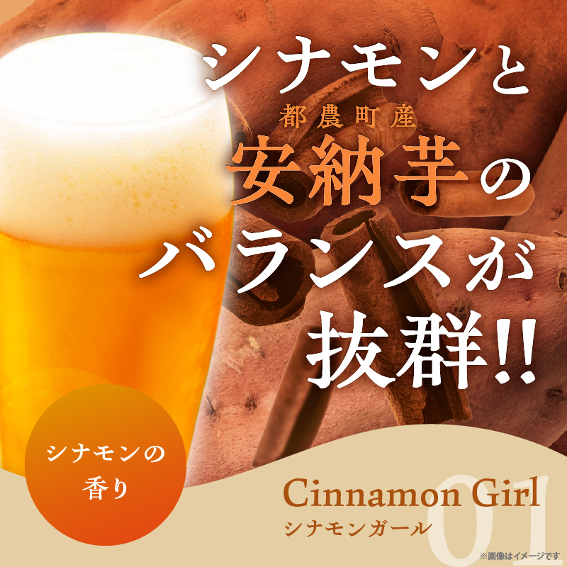 都農クラフトビール詰め合わせ6本セット_T016-003【酒 アルコール 飲料 国産 人気 ギフト お酒 地酒 晩酌 BBQ 贈り物 お土産 送料無料 プレゼント】
