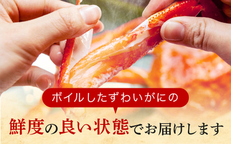 【数量限定】【2025年12月発送予定】訳あり ボイル ずわいがに 総重量 1kg (内容量 900g)規格外 不揃い 傷 足 訳アリ わけあり 脚折れ 2L～3L 大サイズ 弥七商店 かに弥 ずわい