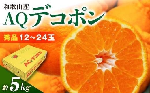 和歌山県産 AQ デコポン 5kg 秀品 (12～24玉)