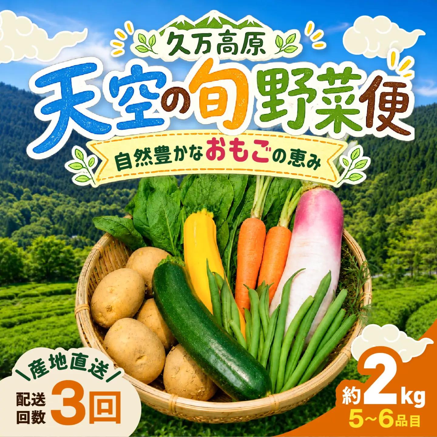 【定期便3回】久万高原 天空の旬野菜便【面河特産品開発センター厳選】｜野菜詰め合わせ 5〜6品目 新鮮野菜 定期便 愛媛県産 産地直送