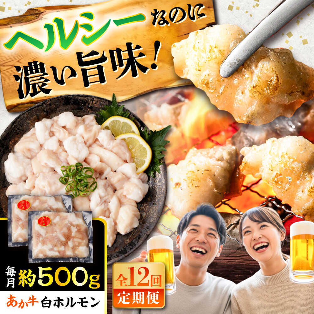 【ふるさと納税】【全12回定期便】あか牛 白 ホルモン 約500g (約250g×2P) / 牛肉 褐毛和種 ホルモン 肉 九州産 国産牛 熊本県産 小分け あかうし 鍋 焼肉【五右衛門フーズ】[BHCY012]