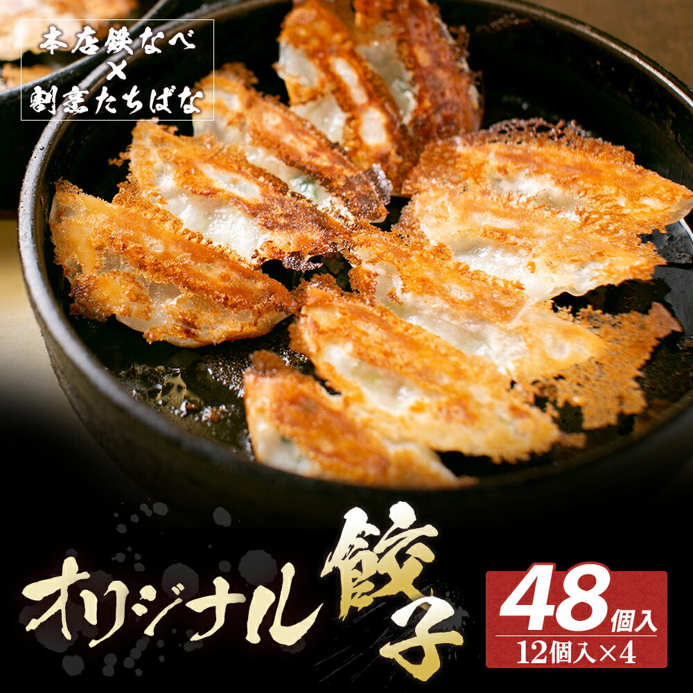【ふるさと納税】 レビューキャンペーン 本店鉄なべ×割烹たちばな オリジナル餃子48個 一口 老舗 割烹 名店 ご当地グルメ 薄皮 送料無料
