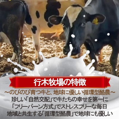 牧場アイス 季節のお勧め大人気6個セット【行木牧場のアイスクリームセット】しぼりたて牛乳で作りました【配送不可地域：離島】